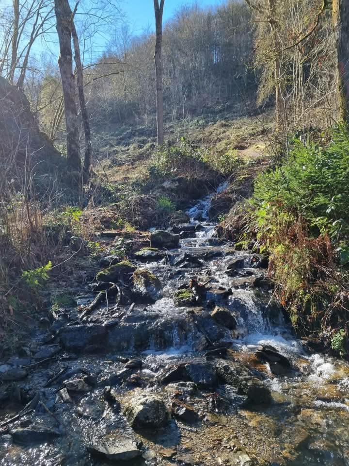 Au Vieux Lavoir Alle Exterior photo